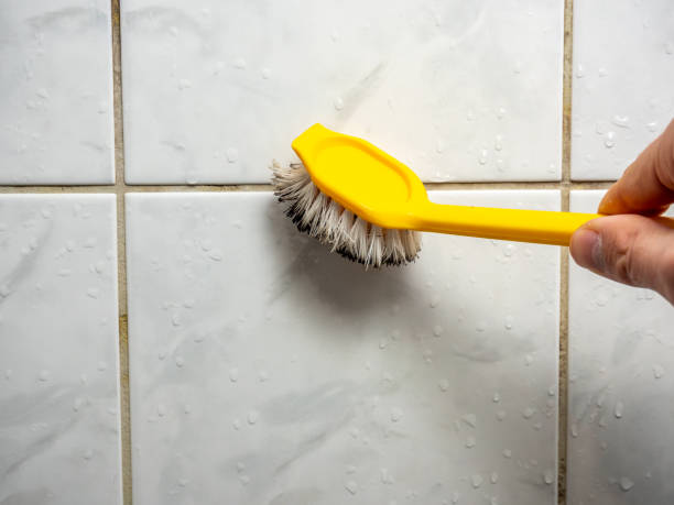 Best Attic Mold Removal  in Carmi, IL
