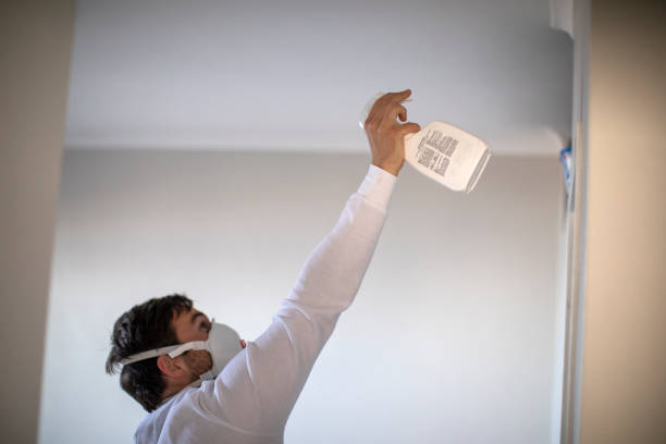 Best Office Mold Removal Services  in Carmi, IL