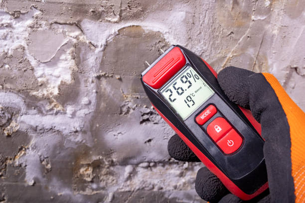 Best Mold Testing  in Carmi, IL
