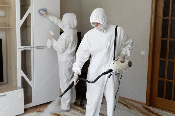 Mold Removal Process in Carmi, IL